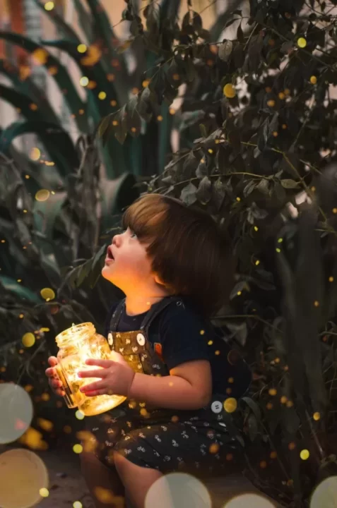 Read more about the article Unlocking the Wonder of Home